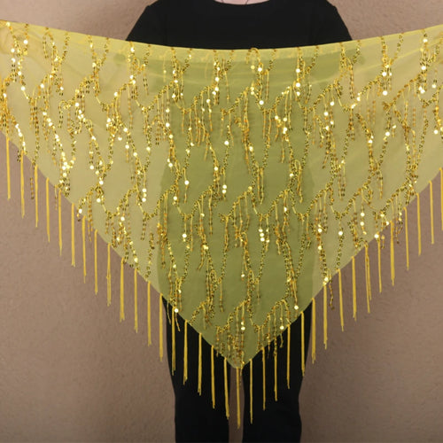 Belly Dancing Hip Scarf