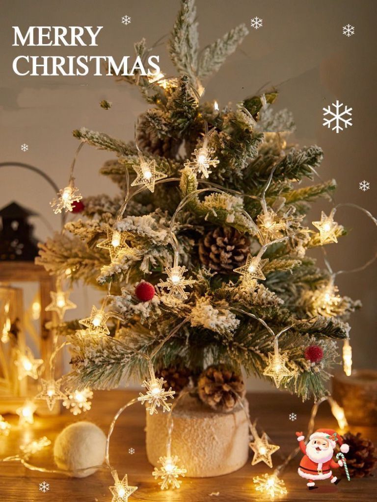 Star And Snowflake LED Lights