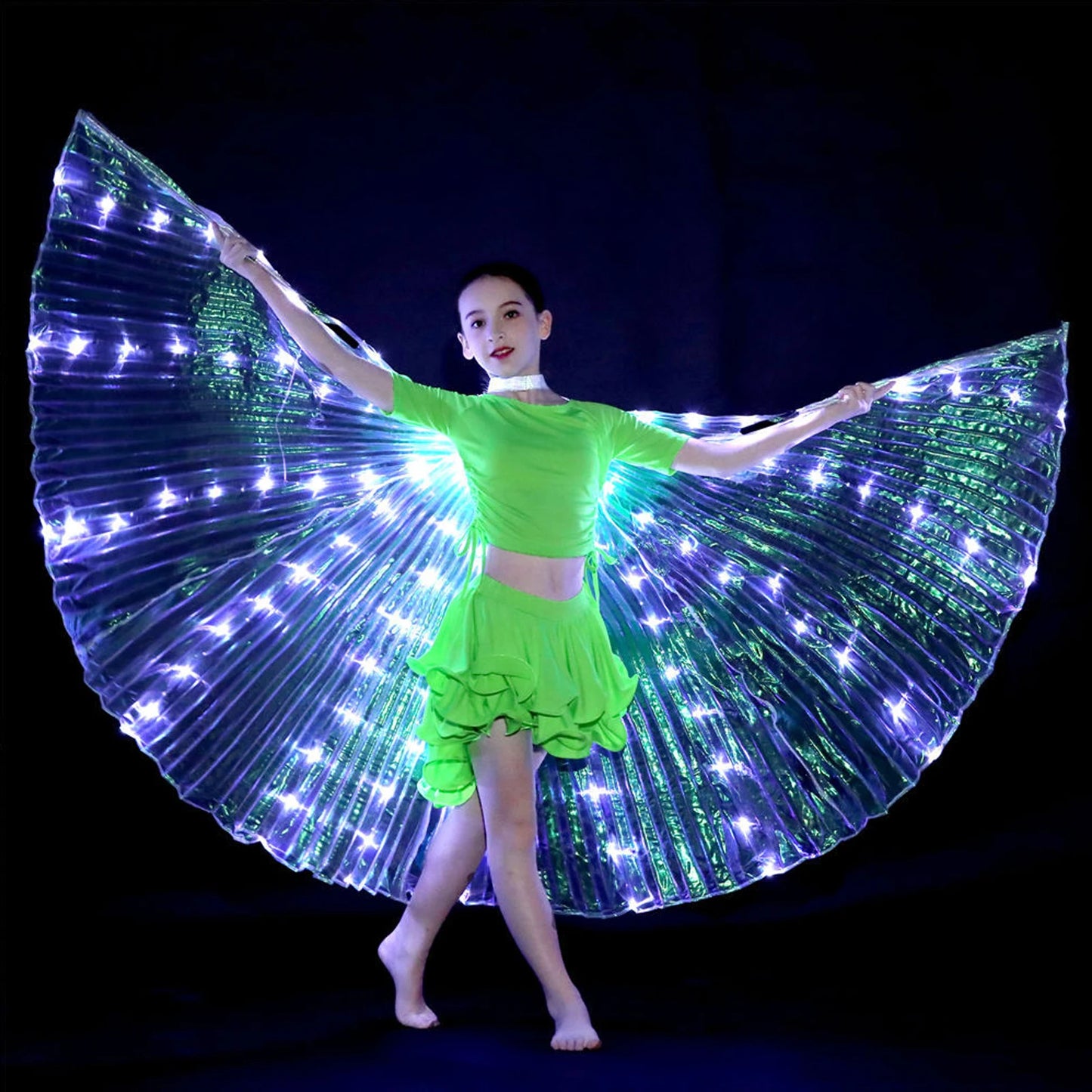 LED Butterfly Wings With Telescopic Sticks